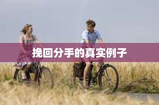 挽回分手的真实例子