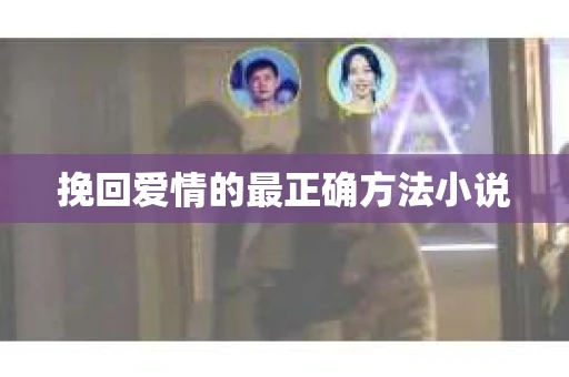挽回爱情的最正确方法小说