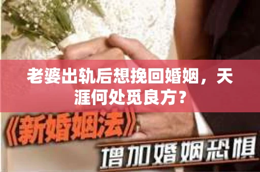 老婆出轨后想挽回婚姻，天涯何处觅良方？