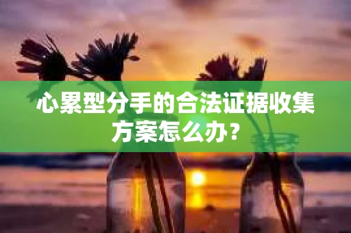 心累型分手的合法证据收集方案怎么办？