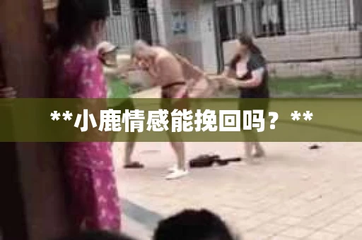 **小鹿情感能挽回吗？**