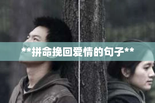 **拼命挽回爱情的句子** **拼命挽回爱情的句子**