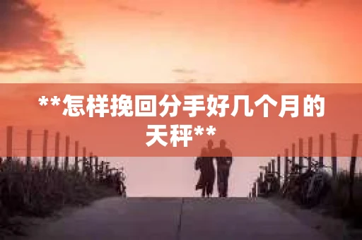 **怎样挽回分手好几个月的天秤**
