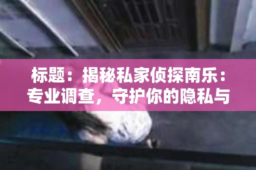 标题：揭秘私家侦探南乐：专业调查，守护你的隐私与权益