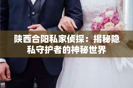 陕西合阳私家侦探：揭秘隐私守护者的神秘世界