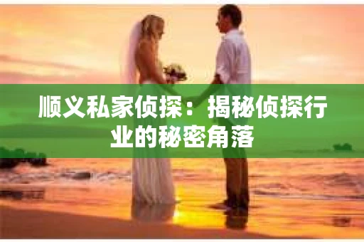 顺义私家侦探：揭秘侦探行业的秘密角落