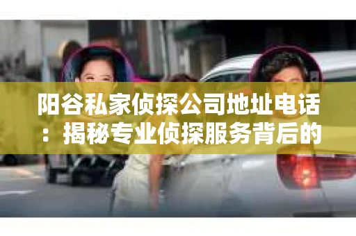 阳谷私家侦探公司地址电话：揭秘专业侦探服务背后的故事