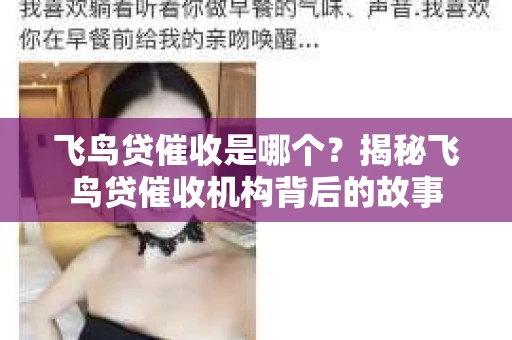 飞鸟贷催收是哪个？揭秘飞鸟贷催收机构背后的故事