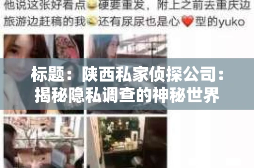 标题：陕西私家侦探公司：揭秘隐私调查的神秘世界