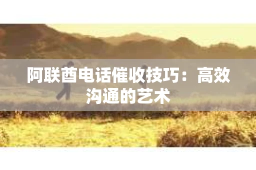 阿联酋电话催收技巧：高效沟通的艺术