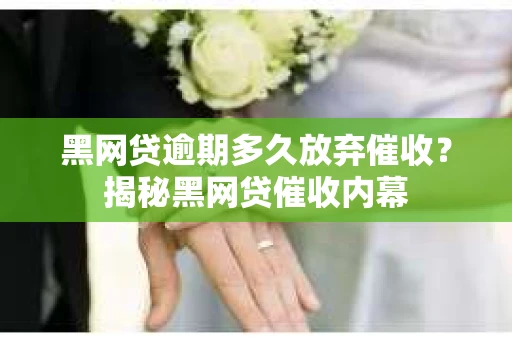 黑网贷逾期多久放弃催收？揭秘黑网贷催收内幕