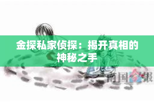 金探私家侦探：揭开真相的神秘之手