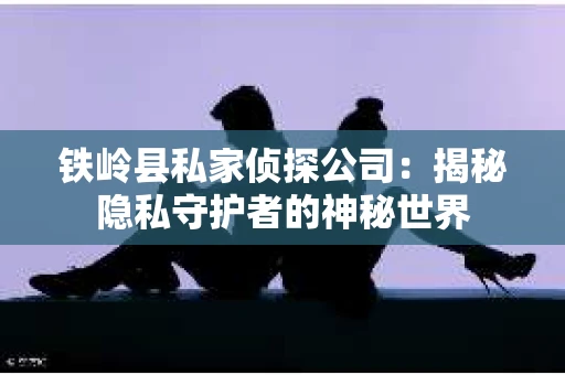 铁岭县私家侦探公司:揭秘隐私守护者的神秘世界 铁岭县私家侦探公司:揭秘隐私守护者的神秘世界