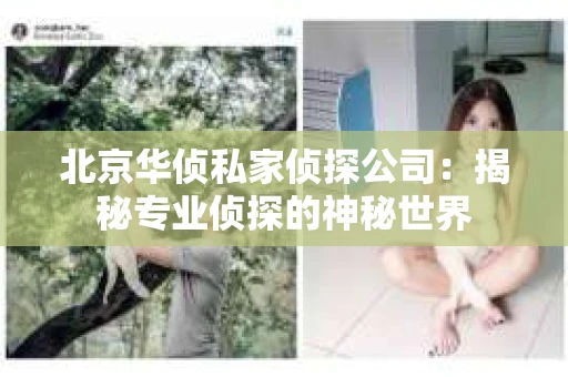 北京华侦私家侦探公司：揭秘专业侦探的神秘世界