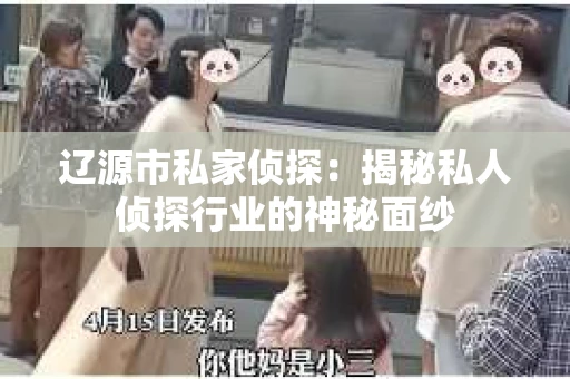 辽源市私家侦探：揭秘私人侦探行业的神秘面纱