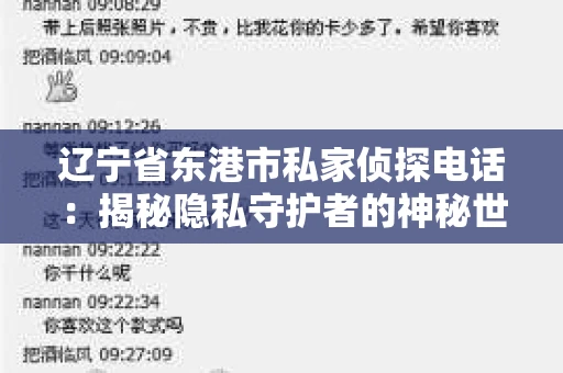 辽宁省东港市私家侦探电话：揭秘隐私守护者的神秘世界