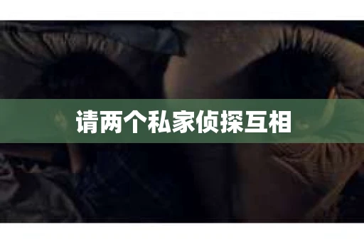 请两个私家侦探互相