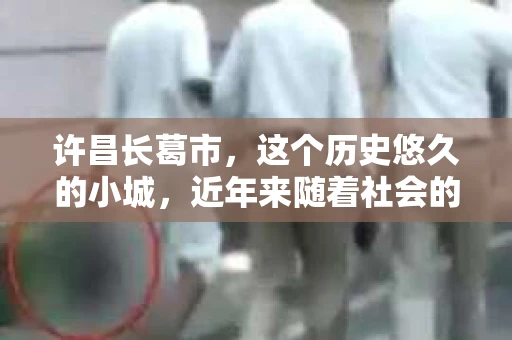 许昌长葛市，这个历史悠久的小城，近年来随着社会的发展，人们的生活节奏加快，对于私家侦探的需求也逐渐增多。那么，许昌长葛市有私家侦探吗？这个问题，让我带你一探究竟。
