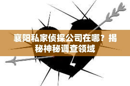 襄阳私家侦探公司在哪？揭秘神秘调查领域
