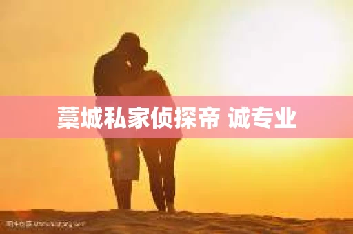 藁城私家侦探帝 诚专业