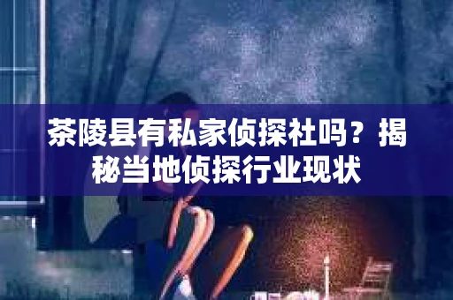 茶陵县有私家侦探社吗？揭秘当地侦探行业现状