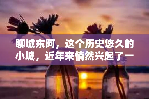 聊城东阿，这个历史悠久的小城，近年来悄然兴起了一股新的服务潮流——私家侦探。今天，我们就来聊聊这个话题，看看在聊城东阿，私家侦探是如何成为人们生活中的一部分的。