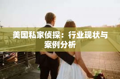 美国私家侦探：行业现状与案例分析