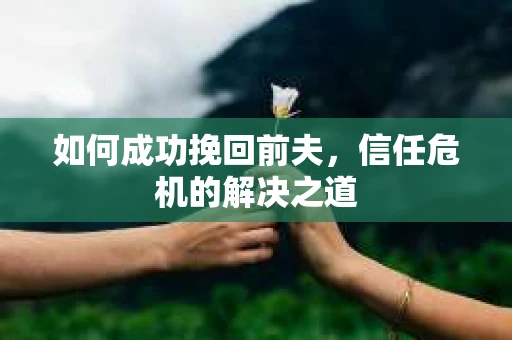 如何成功挽回前夫,信任危机的解决之道 如何成功挽回前夫,信任危机的解决之道