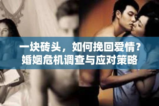 一块砖头，如何挽回爱情？婚姻危机调查与应对策略