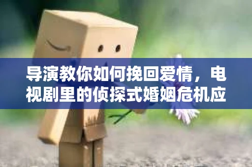 导演教你如何挽回爱情，电视剧里的侦探式婚姻危机应对法