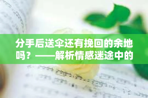 分手后送伞还有挽回的余地吗？——解析情感迷途中的决策