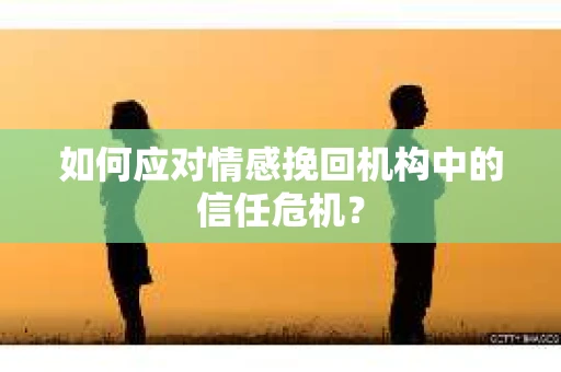如何应对情感挽回机构中的信任危机？