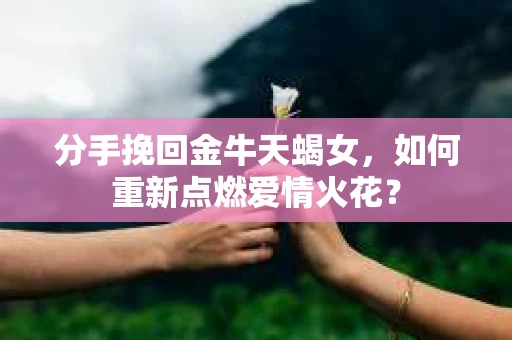 分手挽回金牛天蝎女，如何重新点燃爱情火花？