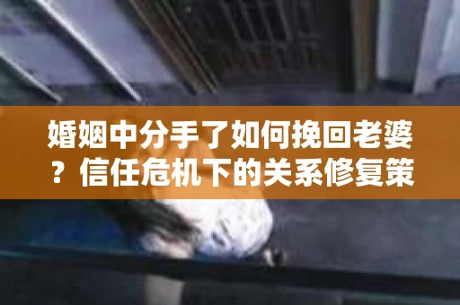 婚姻中分手了如何挽回老婆？信任危机下的关系修复策略
